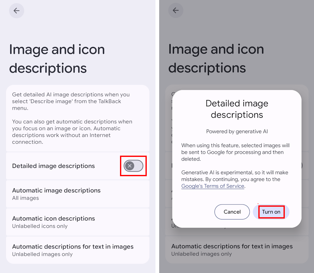 Tap the switch next to Detailed image descriptions